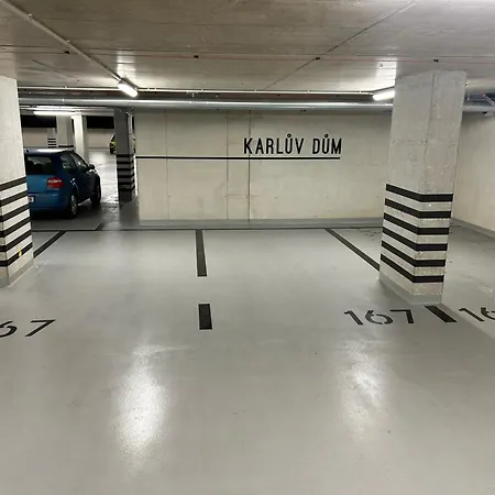 Baker House - Free Private Parking * Μπρνο