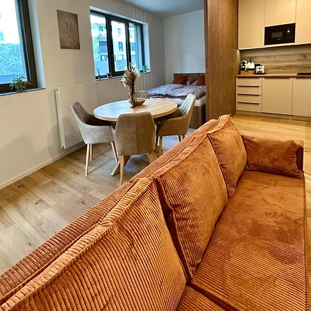 Baker House - Free Private Parking Brno